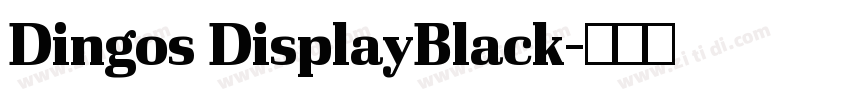 Dingos DisplayBlack字体转换